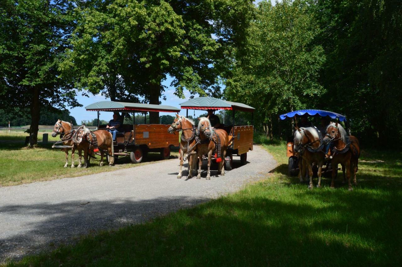 Lobnitz  Ferienhaus Am Park 빌라 외부 사진